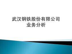 武汉钢铁业务分析案例PPT