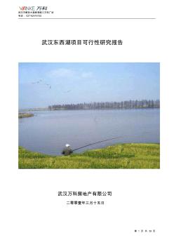 武汉金银湖房地产项目可行性研究报告