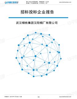 武汉钢铁集团汉阳钢厂有限公司-招投标数据分析报告
