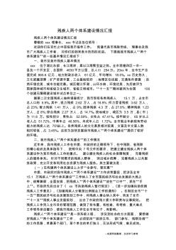 残疾人两个体系建设情况汇报