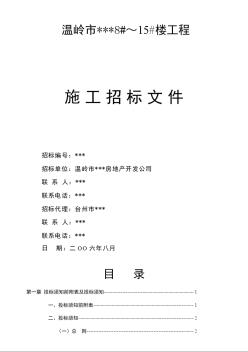 浙江省某住宅樓土建工程施工招標(biāo)文件（2006-8）