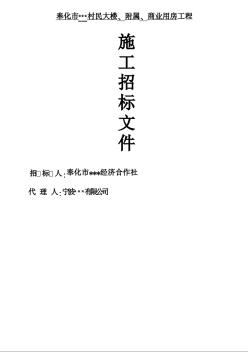 奉化市某村民大楼、附属、商业用房工程施工招标文件（2009-2）