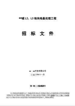济南市某地块地基处理工程招标文件（2008-11）