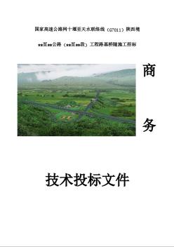 国家高速公路某段路基桥隧商务投标表格