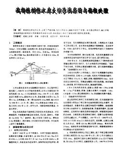 淺析株樹(shù)橋水庫(kù)大壩滲漏原因與面板處理