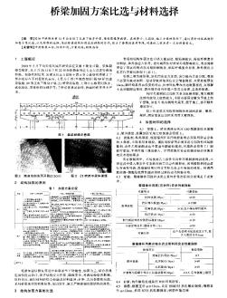 桥梁加固方案比选与材料选择