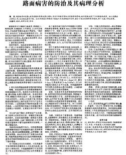 路面病害的防治及其病理分析