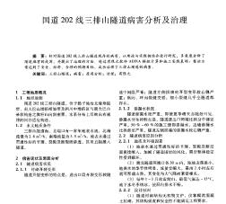 国道202线三排山隧道病害分析及治理