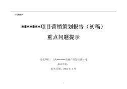 2002年上海某项目营销策划报告