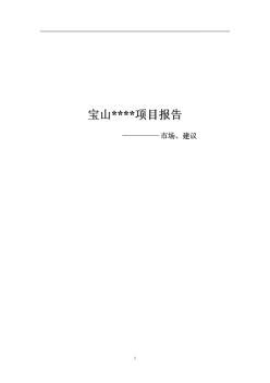 2003年上海宝山某项目定位及建议报告