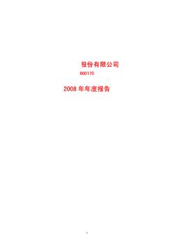 上海某股份有限公司2008年年度报告