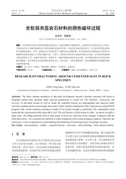 含軟弱夾層巖石材料的損傷破壞過程