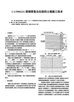 CAT50022E型钢塑复合拉筋挡土墙施工技术