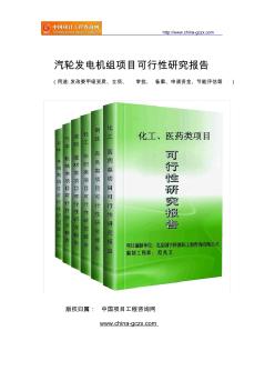 汽轮发电机组项目可行性研究报告(专业经典案例)