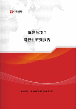 沉淀池项目可行性研究报告(目录)