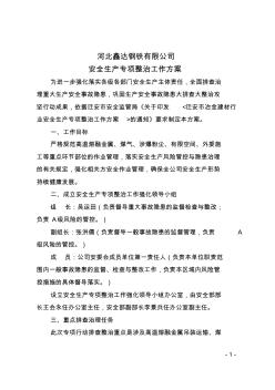 河北鑫达钢铁有限公司安全生产专项整治方案