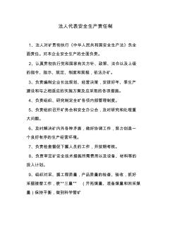 法人代表安全生產(chǎn)責(zé)任制 (2)