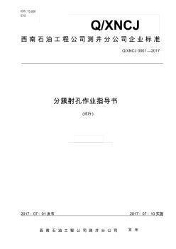 泵送桥塞与射孔联作作业指导大全120页