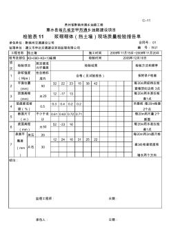 浆砌砌体现场质量检验报告单