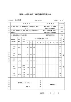 混凝土台阶分项工程质量检验评定表 (2)