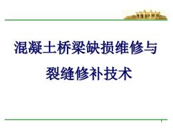 混凝土桥梁缺损维修与裂缝修补技术[优质工程范文]