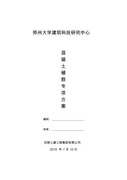 混凝土植筋施工方案