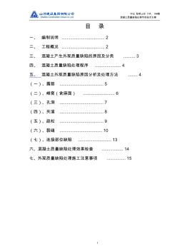 混凝土結(jié)構(gòu)外觀缺陷處理方案(通用)