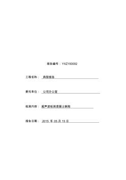 混凝土超聲檢測(cè)缺陷報(bào)告(20200807143936)