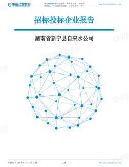 湖南省新寧縣自來(lái)水公司-招投標(biāo)數(shù)據(jù)分析報(bào)告