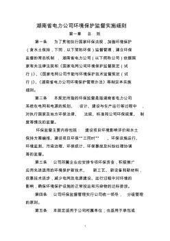 湖南省电力公司环境保护监督实施细则(刻录)