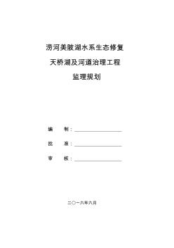 湖水系生态修复及河道治理工程监理规划培训资料(89页)