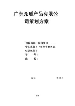 灯饰产品网络营销方案