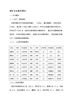 煤礦企業(yè)基本情況