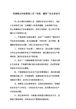 煤礦科級管理人員安全生產(chǎn)承諾書 (2)