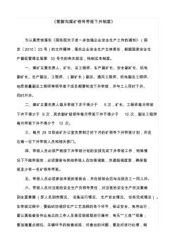 煤礦領導帶班下井制度(修改)