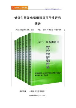 燃煤供热发电机组项目可行性研究报告范文格式(专业经典案例)