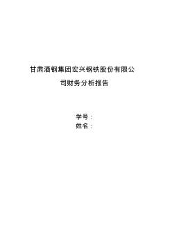 甘肃酒钢集团宏兴钢铁股份有限公司财务分析报告 (2)