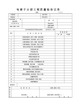 电梯子分部工程质量验收记录 (2)