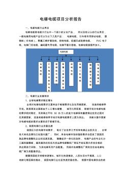 电梯电缆项目分析报告 (2)