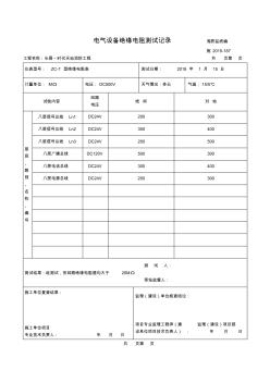 電氣設(shè)備絕緣電阻測(cè)試記錄(八層)