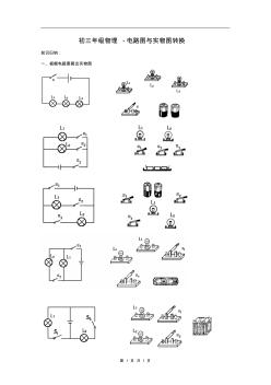 電路圖與實(shí)物圖轉(zhuǎn)換練習(xí)