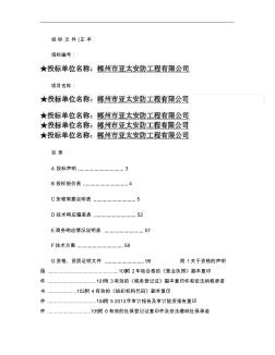 监控系统设备政府采购投标文件范本_图文