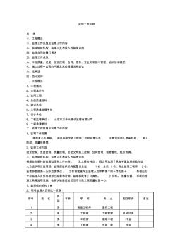 监理工作总结 (5)