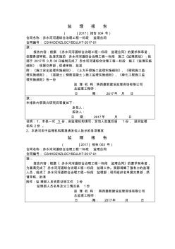 监理报告-2017