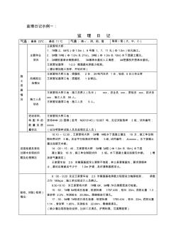 监理日记示例 (2)