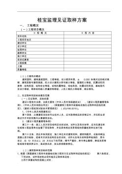 监理见证取样方案 (2)