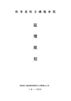 监理规划 (10)