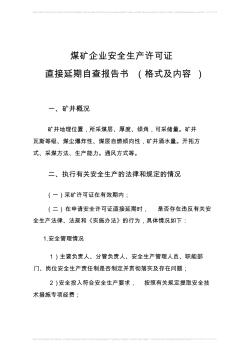 直接延期自查報告書