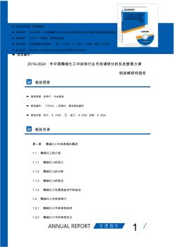 研究报告-2019-2024年中国精细化工中间体行业市场调研分析及发展潜力调研战略研究报告(目录)