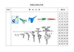 種植活動觀察記錄表